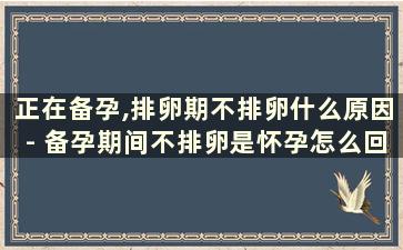 正在备孕,排卵期不排卵什么原因- 备孕期间不排卵是怀孕怎么回事